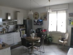 Rosignano Solvay - appartamento ristrutturato con terrazza panoramica - 3