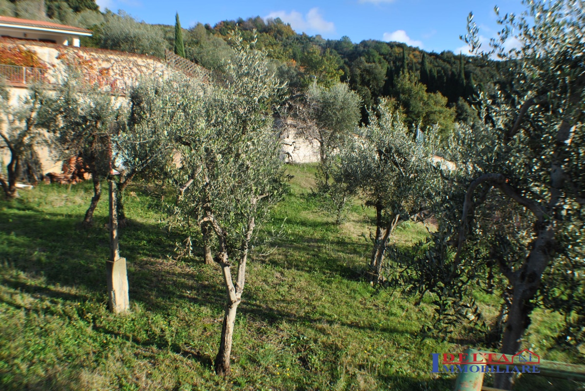 Vendita Villa singola Santa Luce