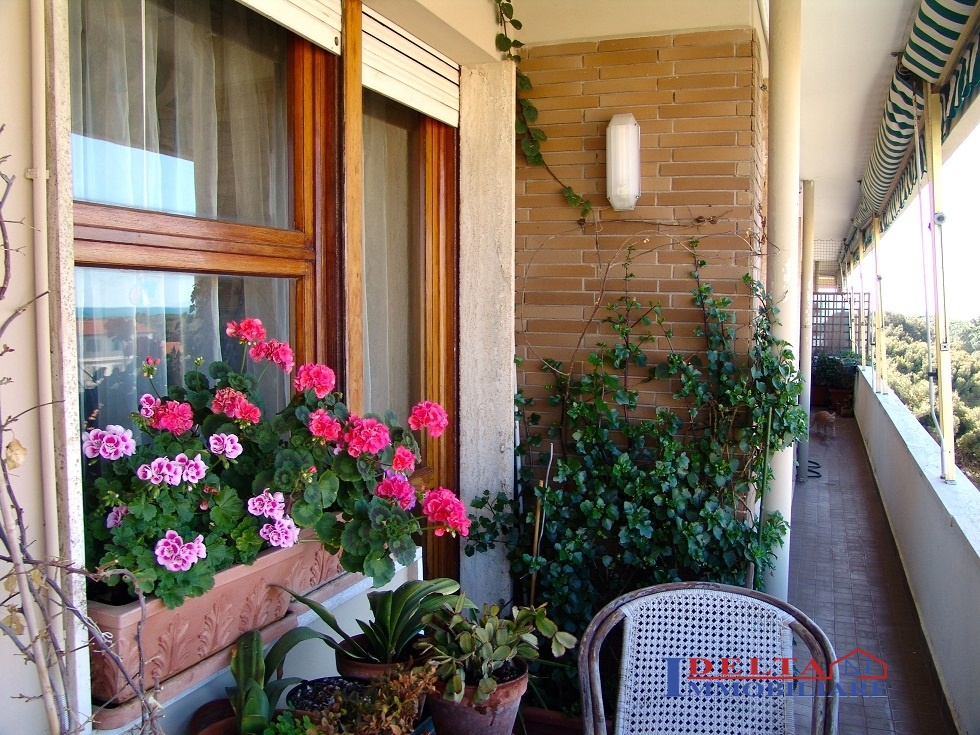 Appartamento ROSIGNANO MARITTIMO vendita  Rosignano Solvay  Agenzia Delta Immobiliare