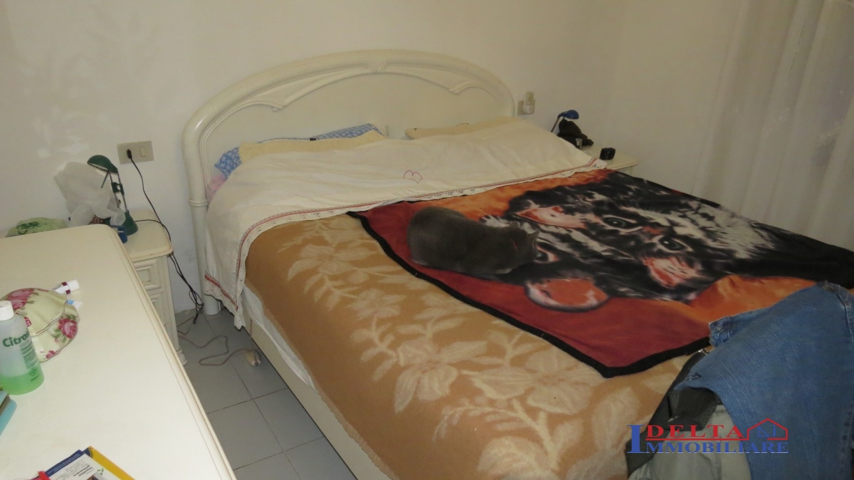 Appartamento ROSIGNANO MARITTIMO vendita  Rosignano Marittimo  Agenzia Delta Immobiliare