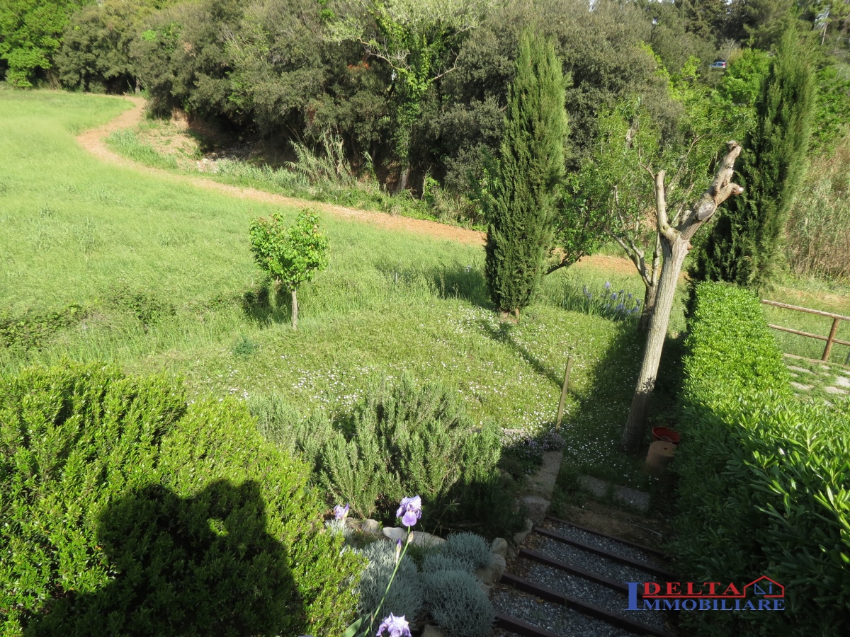 Villa Bifamiliare ROSIGNANO MARITTIMO vendita  Castiglioncello  Agenzia Delta Immobiliare