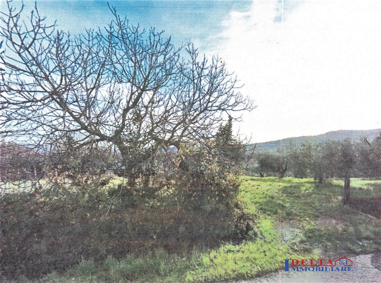 Terreno Agricolo in Vendita Rosignano Marittimo