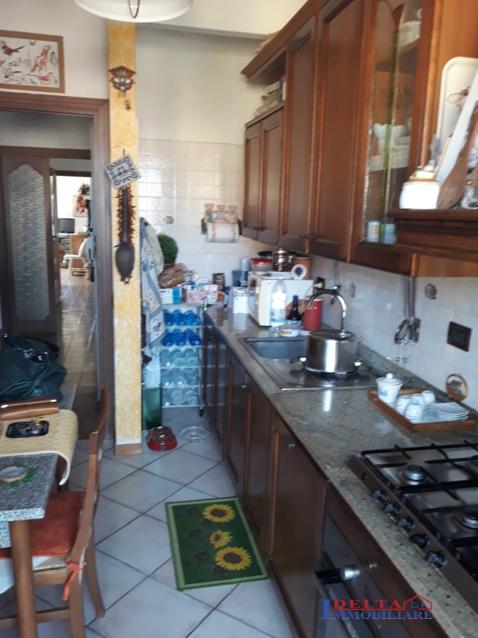 Appartamento ROSIGNANO MARITTIMO vendita  Rosignano Solvay  Agenzia Delta Immobiliare